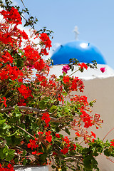 Image showing Geranium flowers with church background in Santorini