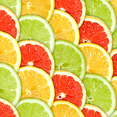 Image showing Background with citrus-fruit slices