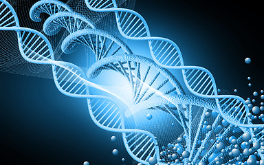 Image showing DNA