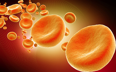 Image showing blood cells