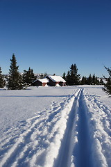 Image showing skiing to the cabin