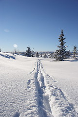 Image showing ski tracks in deep snow