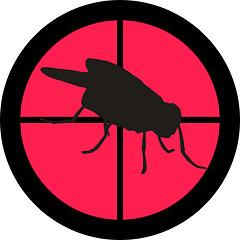 Image showing In the Scope Series – Fly