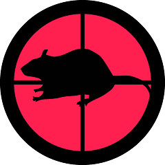 Image showing In the Scope Series – Rat