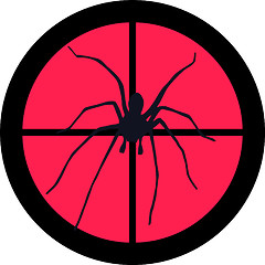 Image showing In the Scope Series – Spider