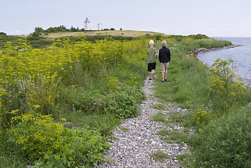 Image showing Boys in Danish nature