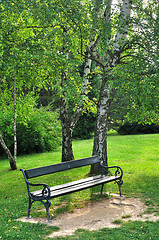 Image showing Bench in park