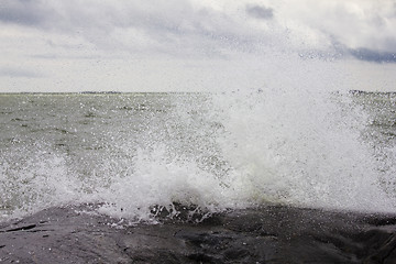 Image showing Splash