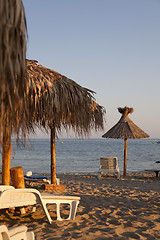 Image showing beach with palms umbrella and chairs