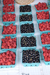 Image showing Berries