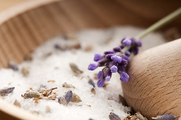 Image showing Lavender Sugar