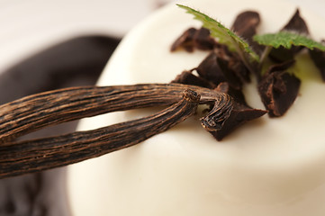 Image showing Panna Cotta with chocolate and vanilla beans