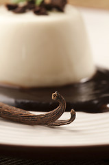 Image showing Panna Cotta with chocolate and vanilla beans