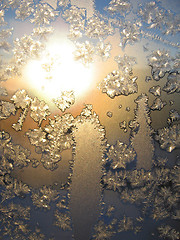 Image showing frost and sun