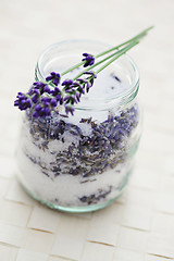 Image showing lavender sugar