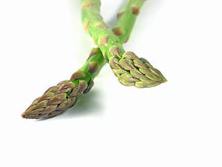 Image showing vegetable - asparagus