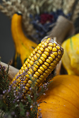 Image showing Autumn vegetables