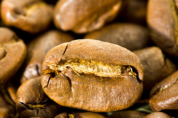 Image showing Coffee (macro)