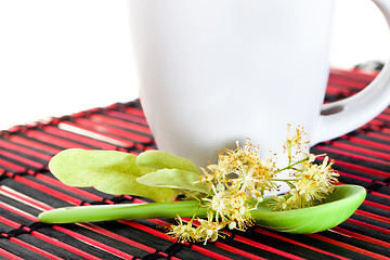 Image showing linden tea