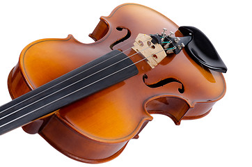 Image showing Violin close up 