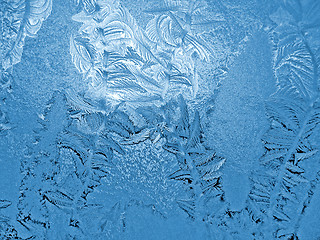 Image showing blue frosty natural pattern