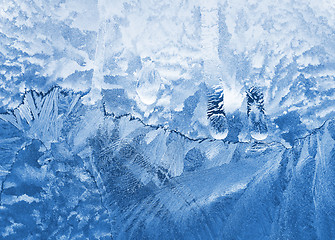 Image showing winter glass