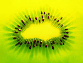 Image showing kiwi background