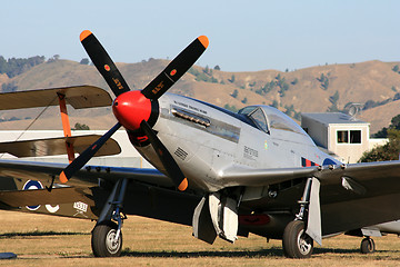 Image showing Mustang