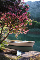 Image showing Boat on the river