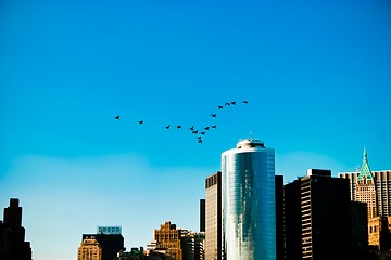 Image showing Geese leaving New York City