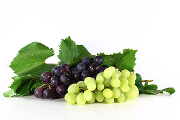 Image showing grapes