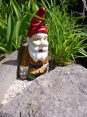 Image showing Garden gnome