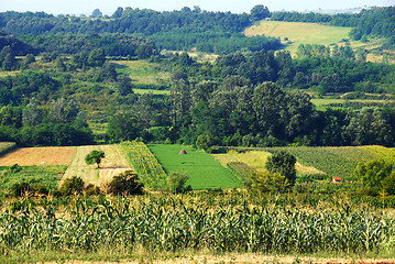 Image showing Rural Serbia