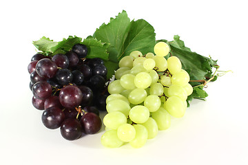 Image showing Grapes