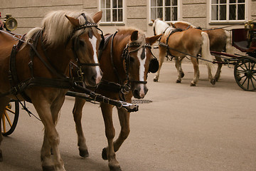 Image showing Horse-drawn carriage