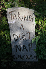 Image showing Tombstone 'Taking a dirt nap'