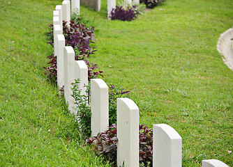 Image showing Rows of headstone at military memorial