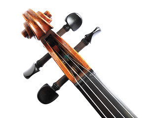 Image showing violin head