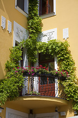 Image showing Luxurian balcony Slovakia