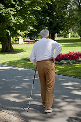 Image showing Senior enjoying the park