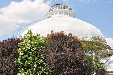 Image showing Allan Gardens Conservatory in Toronto