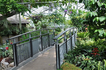 Image showing Allan Gardens Conservatory in Toronto