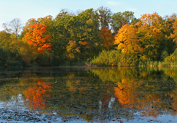 Image showing Autumn reflection