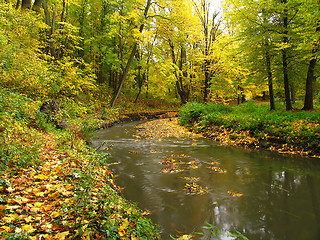 Image showing Colors of autumn