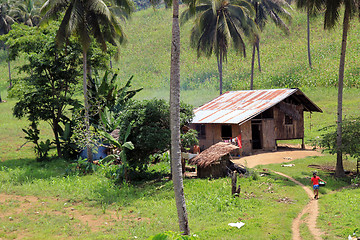 Image showing Mountain farm in the Philipines