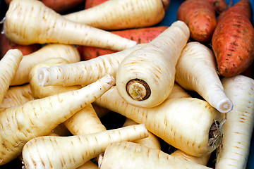 Image showing Parsnip