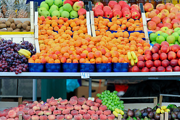 Image showing Appricot fruits