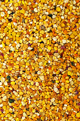 Image showing Bee pollen texture