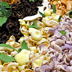 Image showing Mushrooms