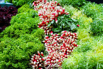 Image showing Salad variety